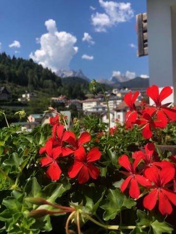 La Casa Di Monte Ricco Daire Pieve di Cadore Dış mekan fotoğraf