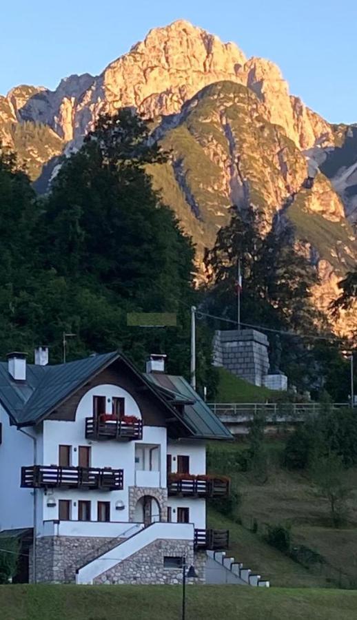 La Casa Di Monte Ricco Daire Pieve di Cadore Dış mekan fotoğraf