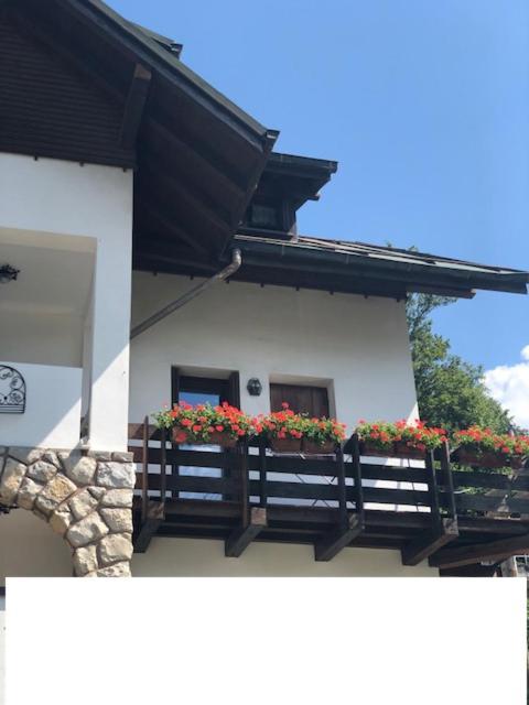 La Casa Di Monte Ricco Daire Pieve di Cadore Dış mekan fotoğraf