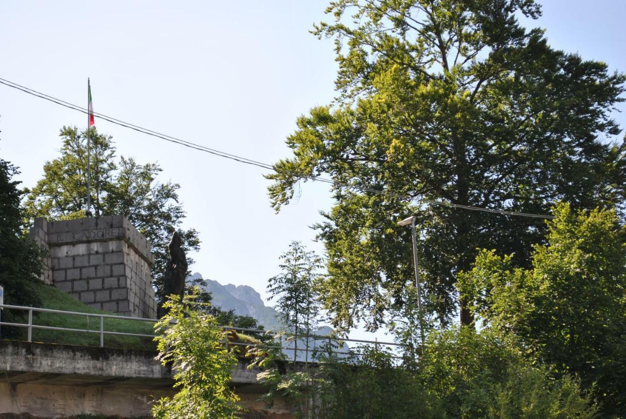 La Casa Di Monte Ricco Daire Pieve di Cadore Dış mekan fotoğraf