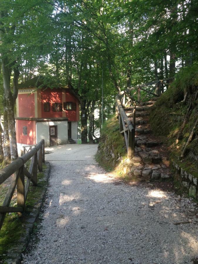 La Casa Di Monte Ricco Daire Pieve di Cadore Dış mekan fotoğraf