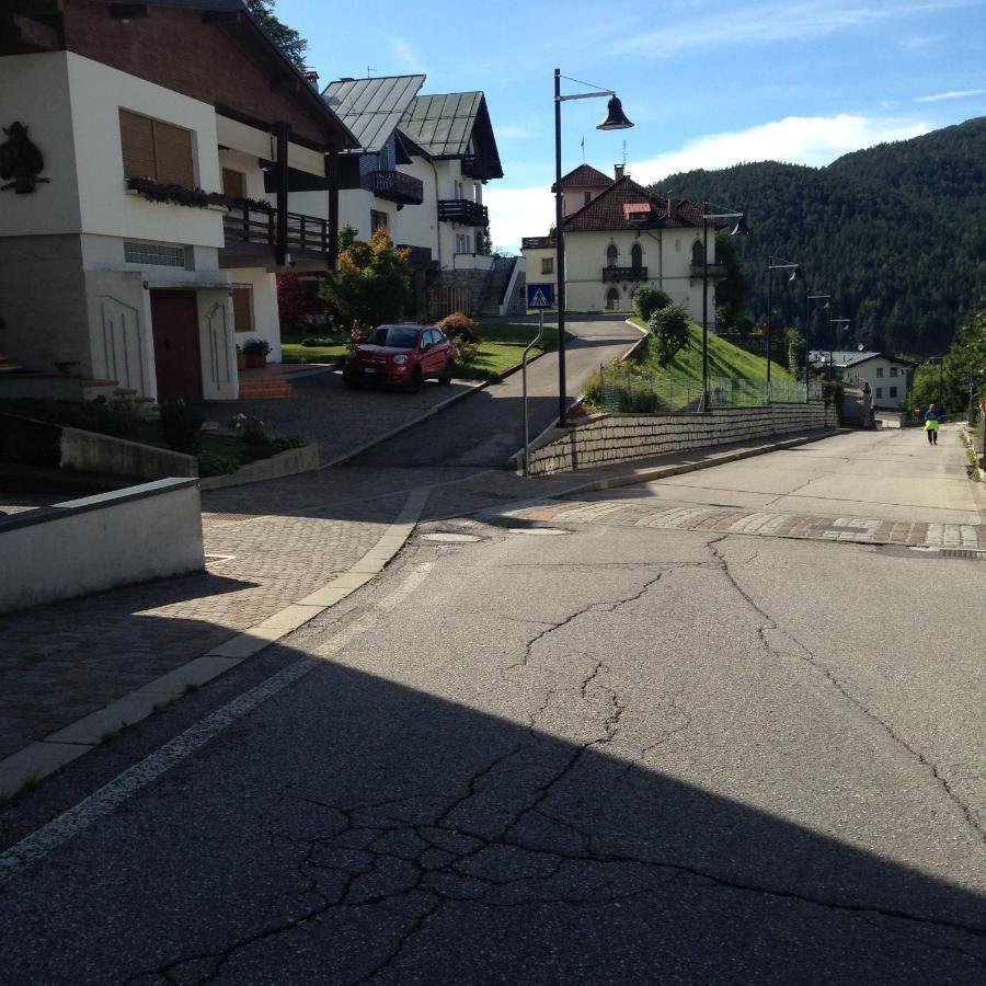 La Casa Di Monte Ricco Daire Pieve di Cadore Dış mekan fotoğraf